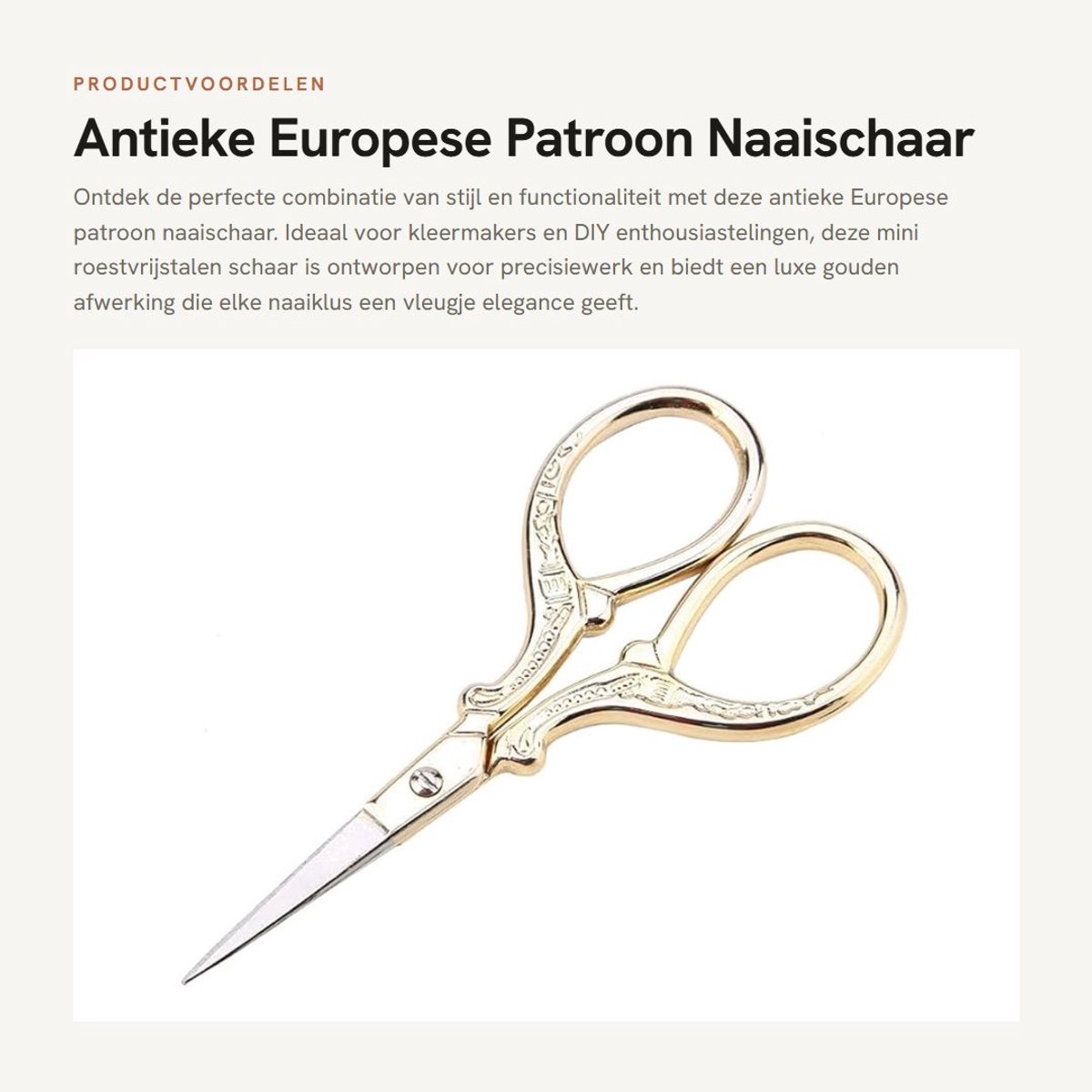 Dailygoods- Naaischaar Antiek - Borduur Schaar - Handwerkschaar - Mini Schaar - Roestvrij Staal - Precisie voor Kleermaker - Borduurschaar