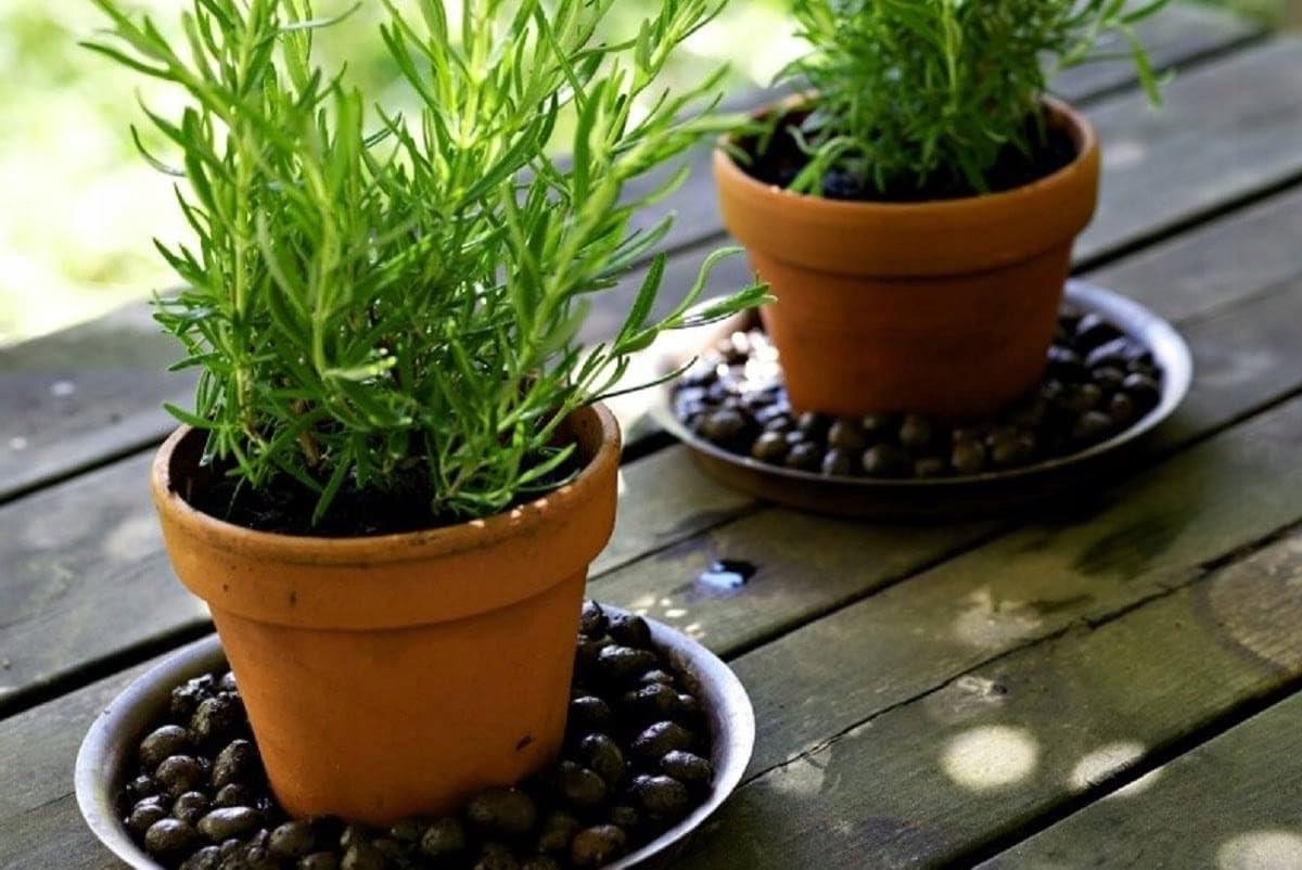 Geëxpandeerde kleikorrels - Drainagekorrels - Plantenverzorging - Herbruikbaar en inert - 18 liter - Bruin