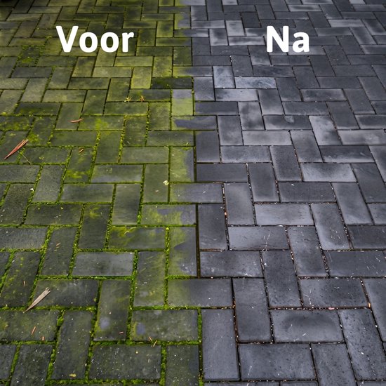 Famiflora M.O.S.A. ontmosser en groene aanslagreiniger 2 liter (2 x 1 liter) - Reinigt alle oppervlakten - Makkelijk te gebruiken - Kleurloos van Famiflora — afbeelding 4