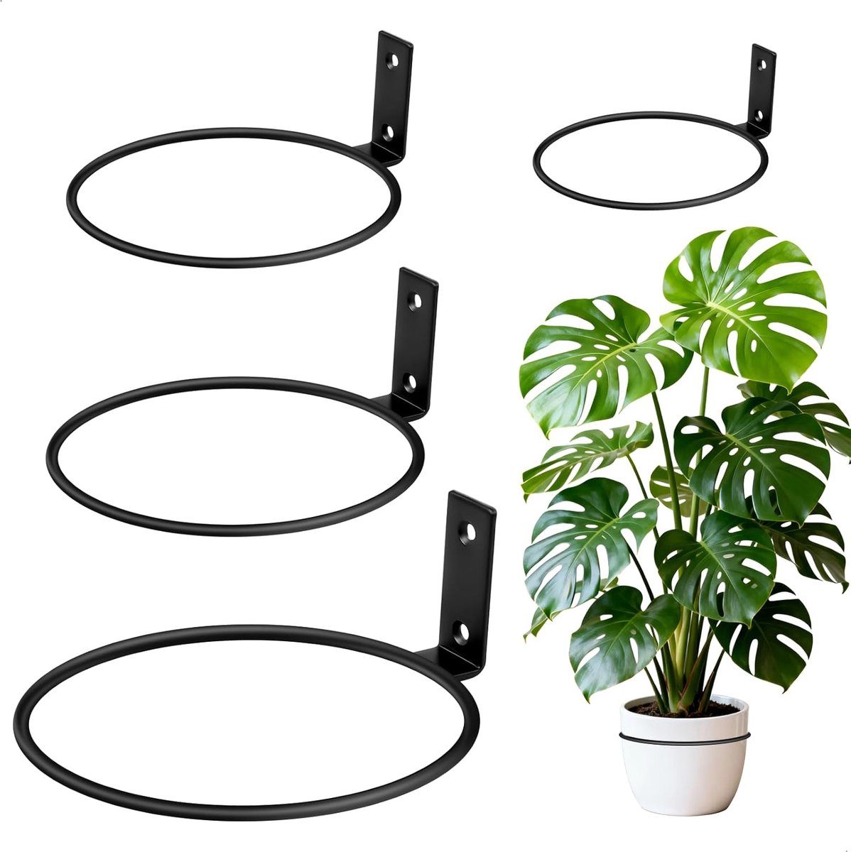 SnelShoppen - Pflanzenhalter Wand, 4 Stuks Wandhouder Blumentopf, Metaal, 9,6 cm/12,2 cm/14,7 cm/19,5 cm, Blumentopf Houder met Schroeven voor Balkon,