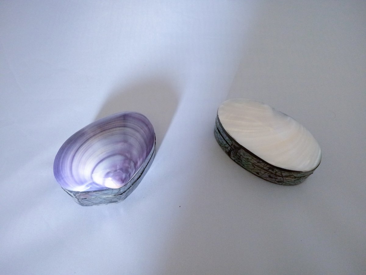 Set van 2 sieradendozen schelpen doos ringdoos pillendoos