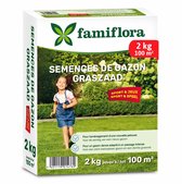 Famiflora graszaad 2kg tot 100m² - Speel & Sport - voor aanleg nieuw gazon - Sterk gazon dat spel en sport overleeft - Dichte grasmat voorkomt onkruid - Snelle kiemkracht voor direct resultaat