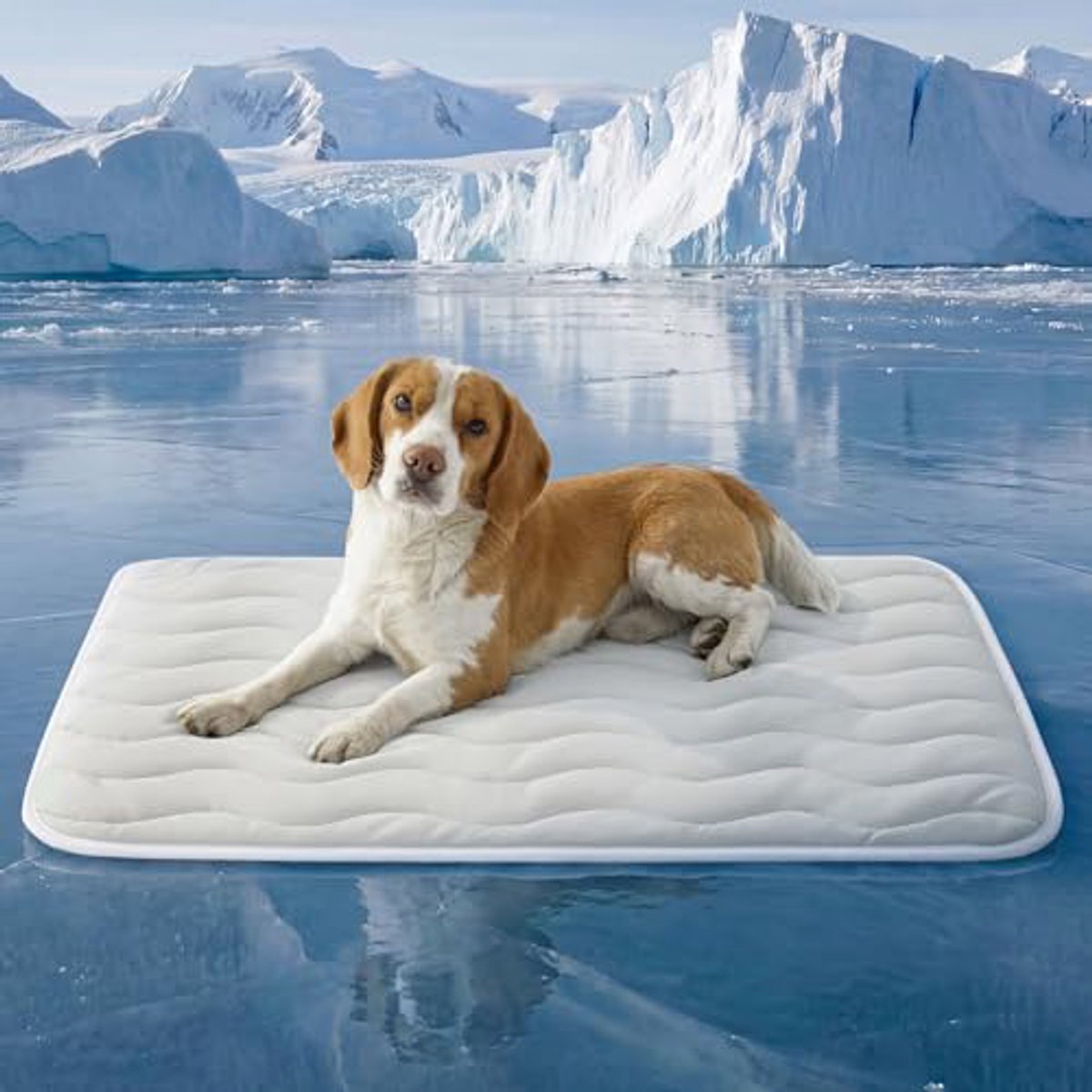 Pet Koelmat voor Honden en Katten - Zelfkoelende Zomer Mat - Wasbare Verkoelende Ligmat met Antislip Onderkant - Grijs - L (122 x 71 cm)