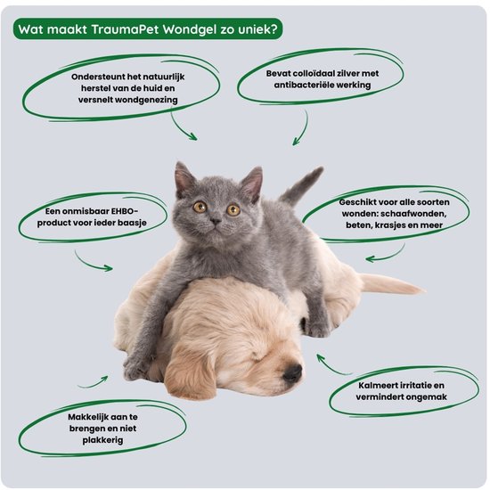 Kitten op een slapende puppy. Uniek aan TraumaPet Wondgel: ondersteunt natuurlijke huidherstel, bevat antibacterieel zilver, geschikt voor alle wonden, kalmeert irritatie, makkelijk aan te brengen.
