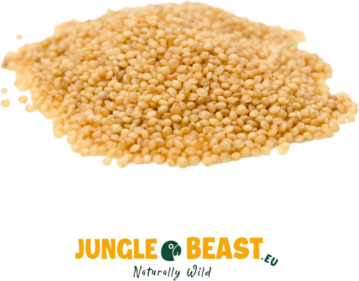 Jungle Beast | Amaranthzaad | Vogels | Papegaaien