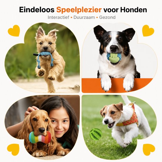 Vrolijke collage van honden die spelen met diverse speeltjes.