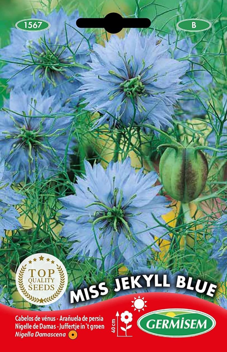 Bloemzaden - Blauw - Eenvoudig te verzorgen - Snijbloemen - Voor Tuinliefhebbers