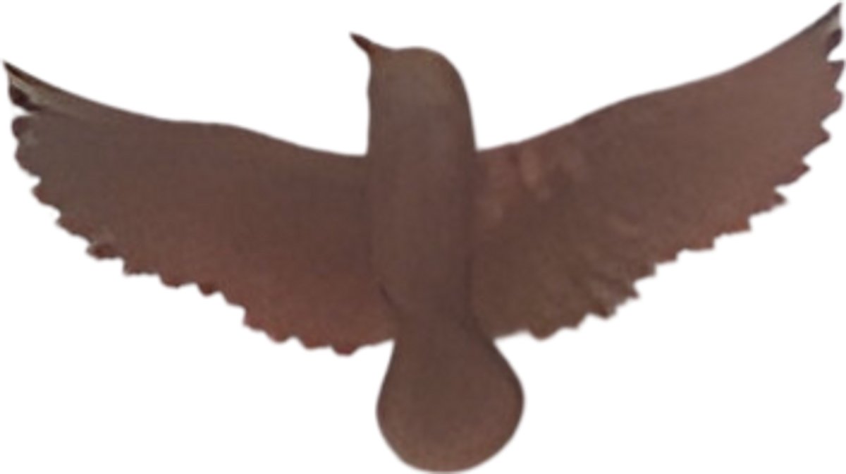 Wanddeco ijzer vogel S 23x12x2 5 cm Buitengewoon de Boet