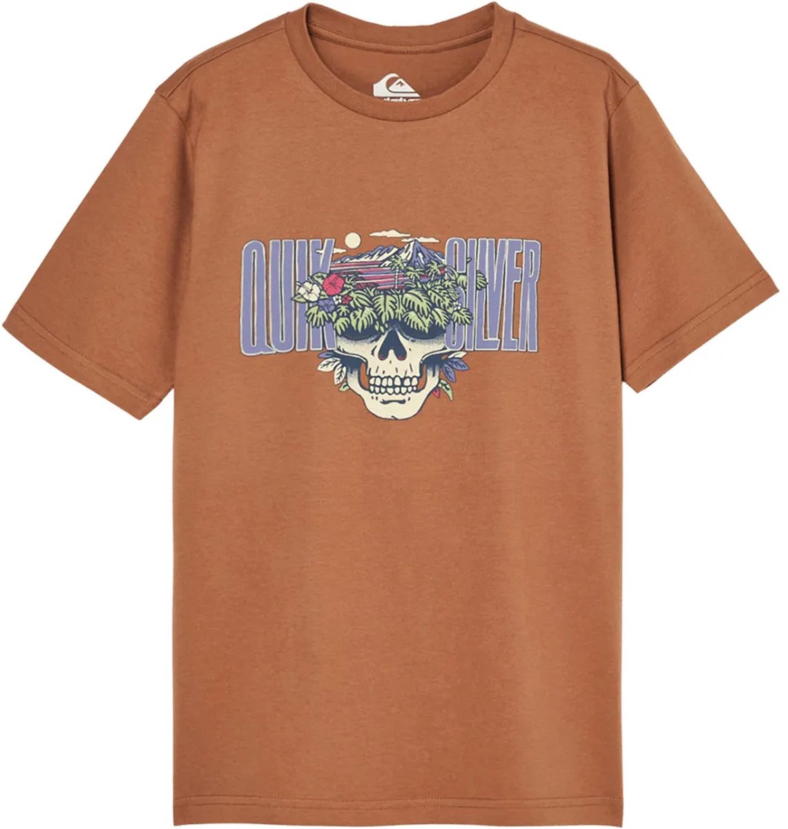 Quiksilver Paradise Point T-shirt Met Korte Mouwen 16 Years Jongen Rawhide