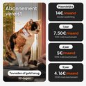 Gevlekt katje met een halsbandje met een lichtje. Prijzen voor abonnementen: 14€/maand maandelijks, 7,50€/maand voor 1 jaar, 5€/maand voor 2 jaar, 4,16€/maand voor 5 jaar. Tevreden of geld terug 30 dagen.