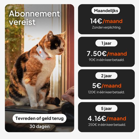 Gevlekt katje met een halsbandje met een lichtje. Prijzen voor abonnementen: 14€/maand maandelijks, 7,50€/maand voor 1 jaar, 5€/maand voor 2 jaar, 4,16€/maand voor 5 jaar. Tevreden of geld terug 30 dagen.