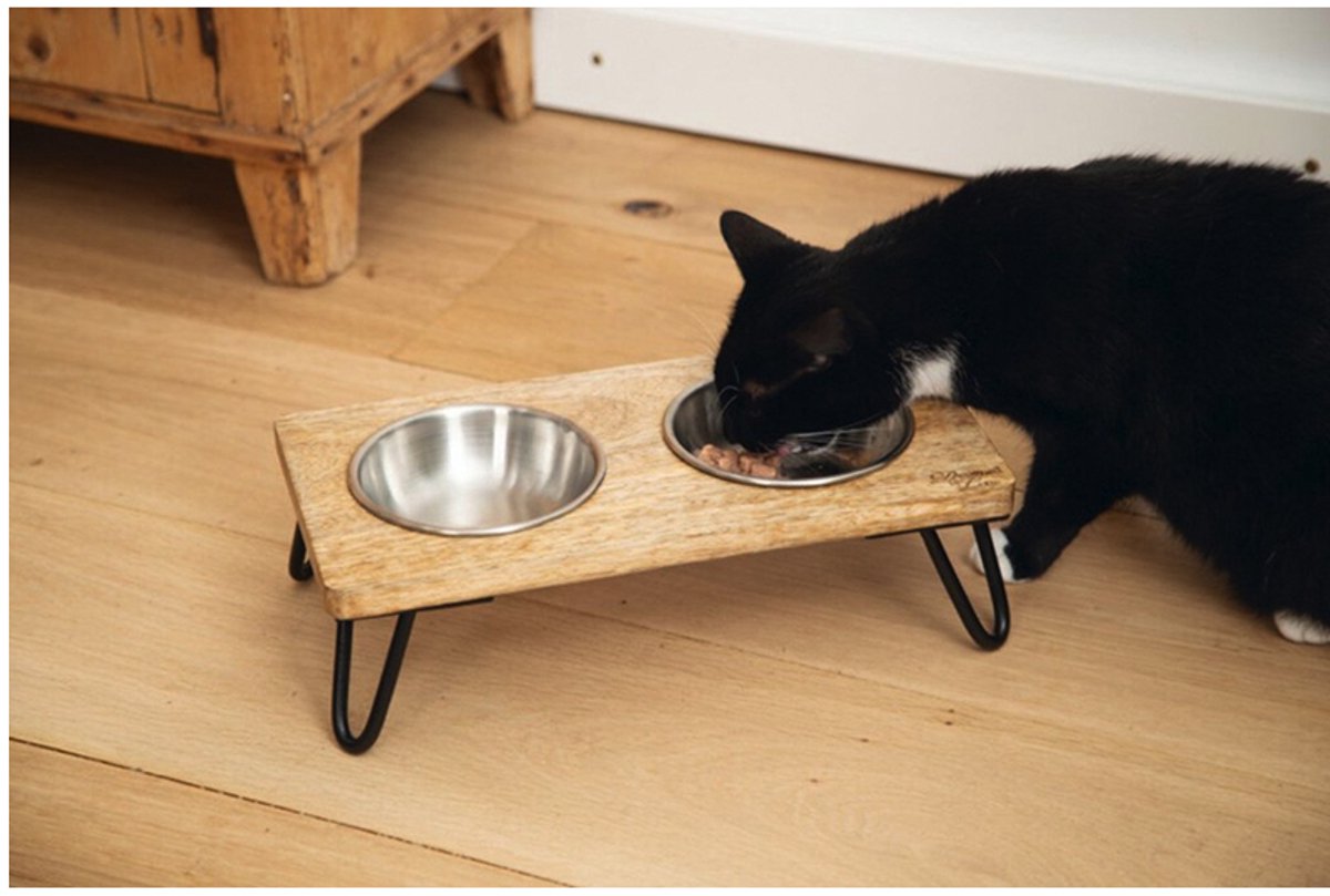 Designed by lotte - dubbele voerbak/drinkbak voor katten en kleine hondjes - 2 RVS geborstelde bakjes in mango houten plateau en staal poten - mooi in elk interieur - 2 x 300 ml