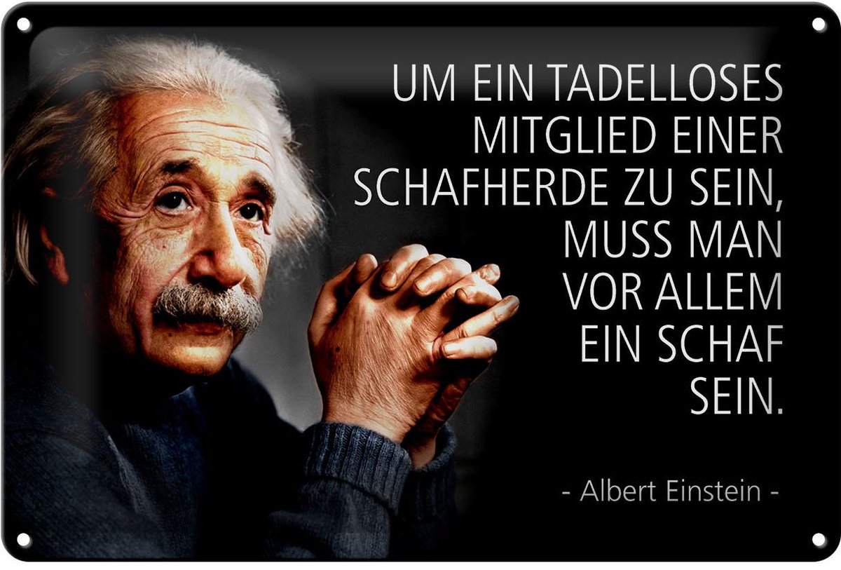 Blechschild Zitat 20x30 cm Einstein Mitglied einer Schafherde Deko Schild