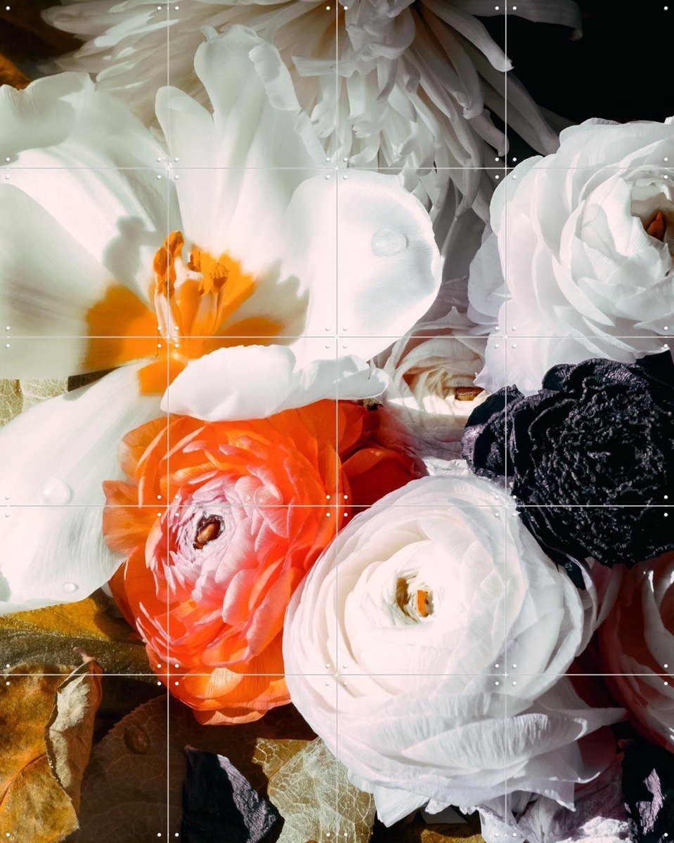 IXXI Ranunculus 10, Leigh Viner - 80 x 100 cm - Gratis ophangtool - Grote wanddecoratie en posters - Fotografie, Woonkamer, Slaapkamer, Gang, Bloemen