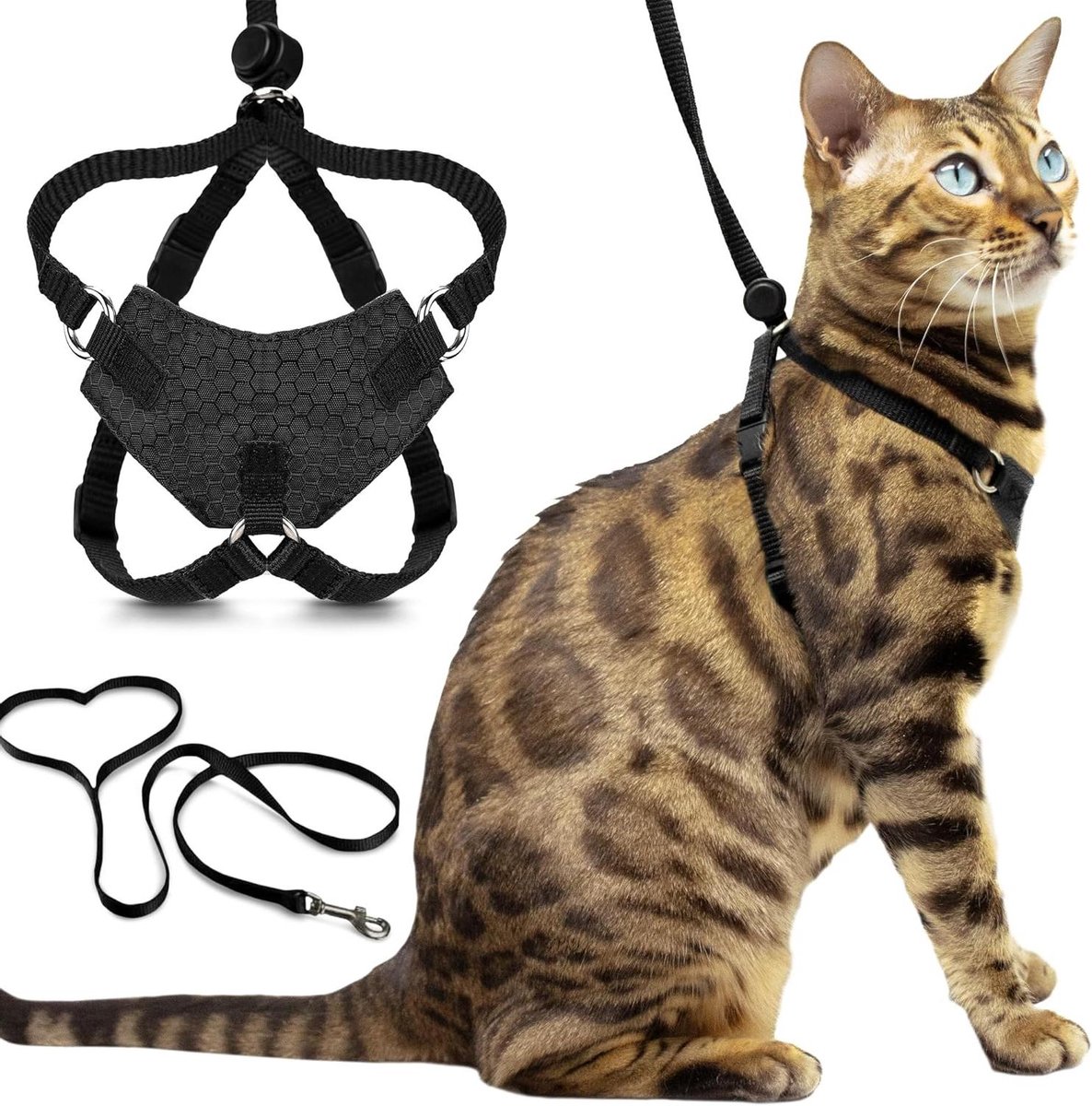 Kattenharnas en riem - Ontsnappingsbestendig vest - Buitenwandelingen met kat - Stikvrij ontwerp - Maat M - Zwart