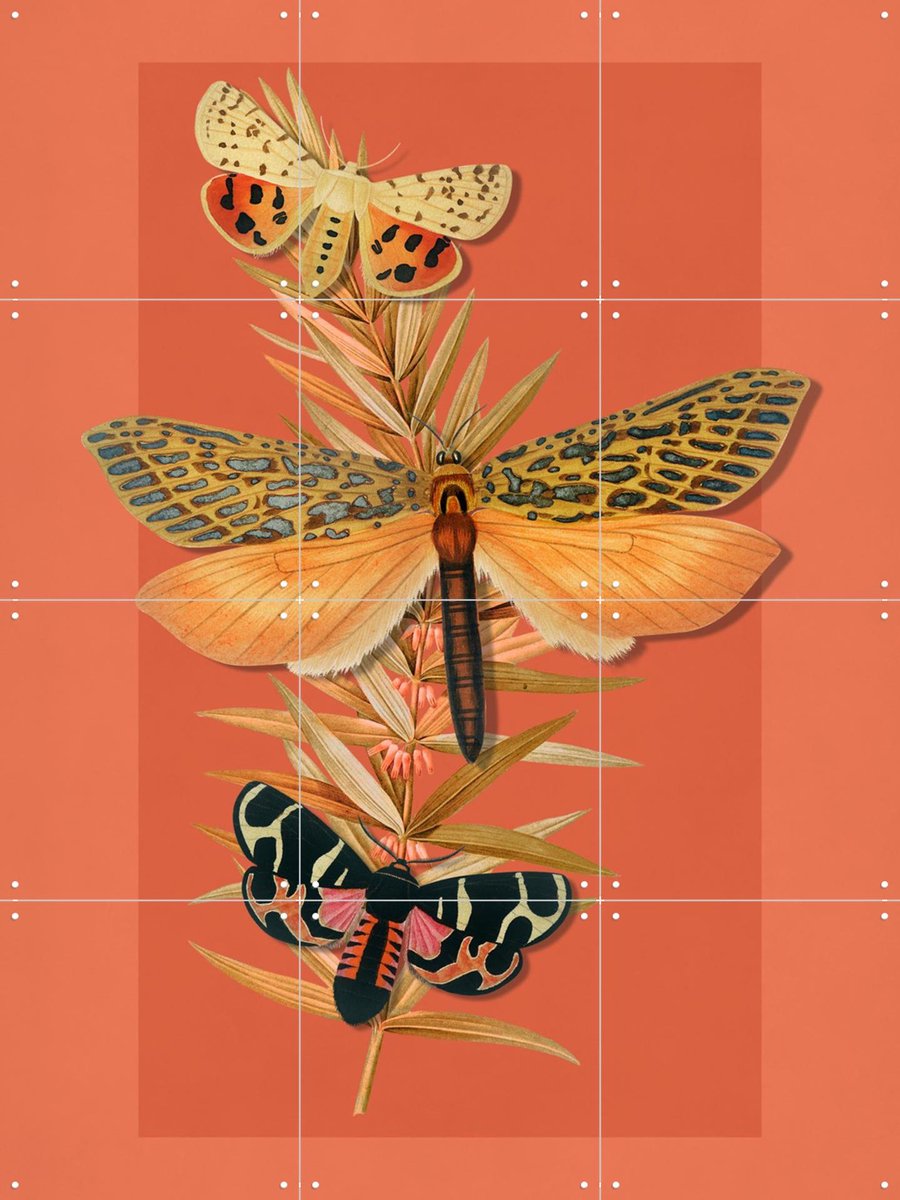 IXXI Summer Into Autumn, Marja van den Hurk - 60 x 80 cm - Gratis ophangtool - Grote wanddecoratie en posters - Fantasierijk, Vintage, Naturalisme