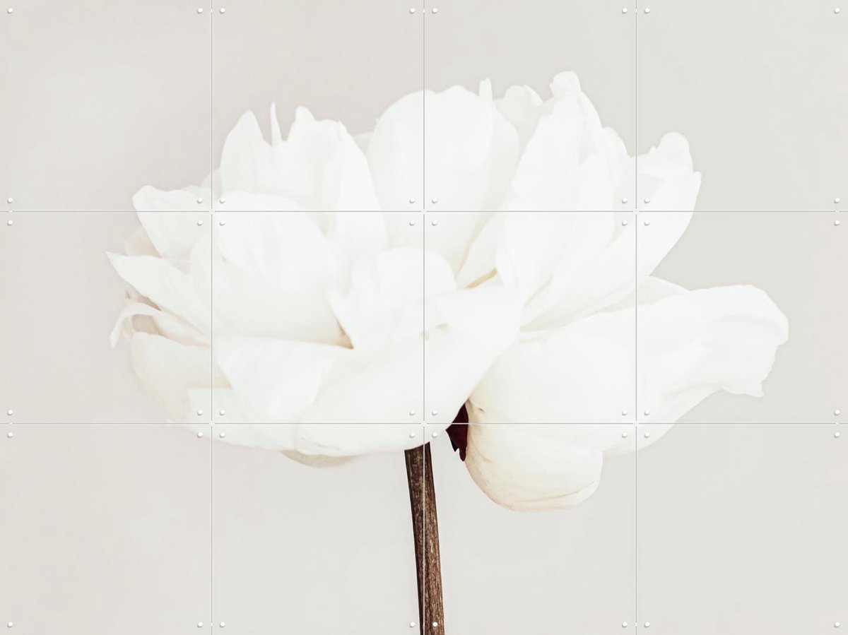 IXXI White Bloom Serenity, 1x Studio II & Various - 80 x 60 cm - Gratis ophangtool - Grote wanddecoratie en posters - Abstract, Woonkamer, Slaapkamer