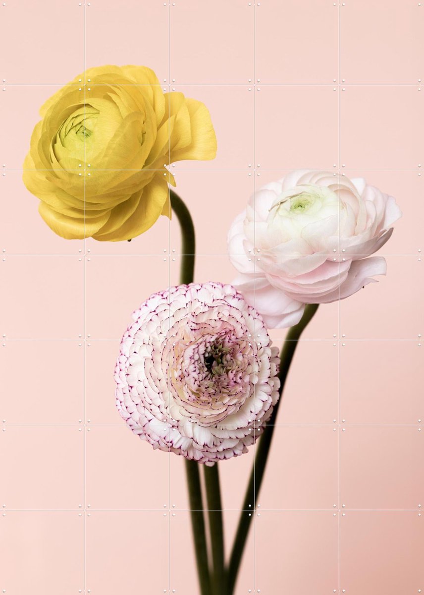 IXXI Three Flowers, Mareike Böhmer - 100 x 140 cm - Gratis ophangtool - Grote wanddecoratie en posters - Fotografie, Eetkamer, Gang, Woonkamer
