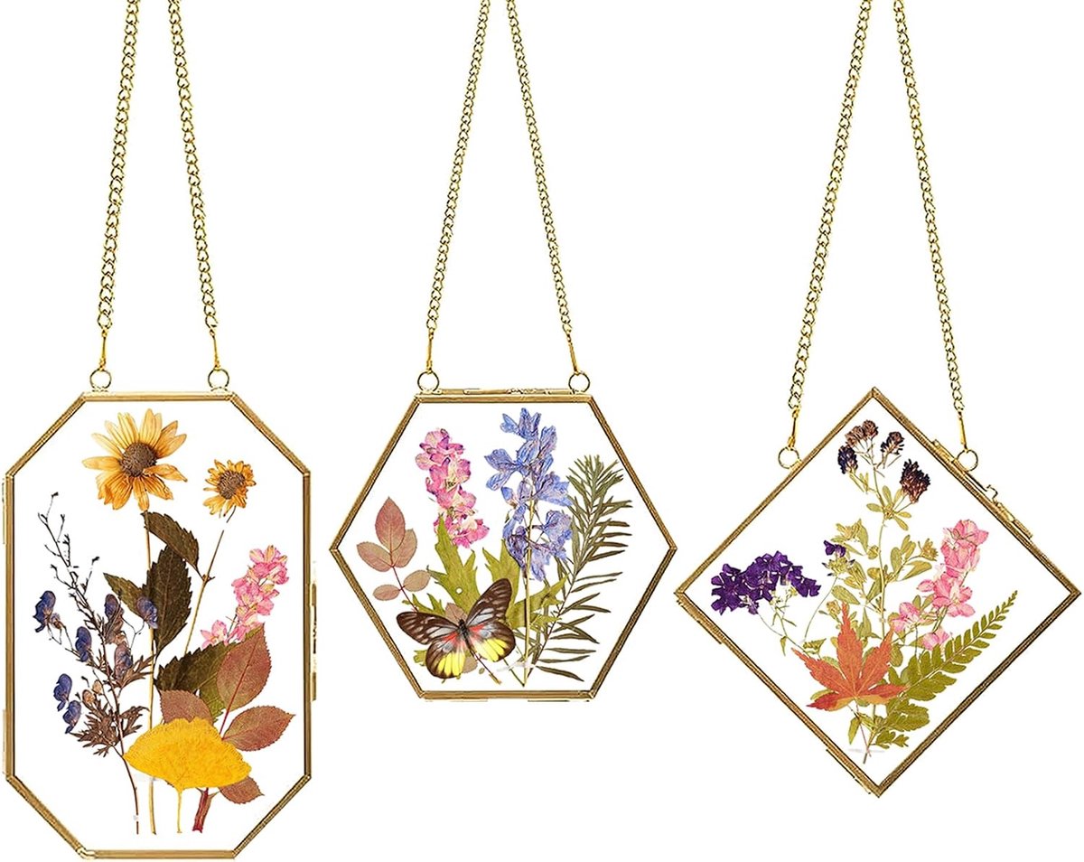 3-delige set - Fotolijst met ketting - Hangende glazen fotolijst - Met stevige ketting - Bloemenknutselwerk voor volwassenen - Fotodisplay voor aan de muur - Hobby voor vrouwen - Cadeau voor moeder - Geschikt voor knutselwerk met geperste bloemen