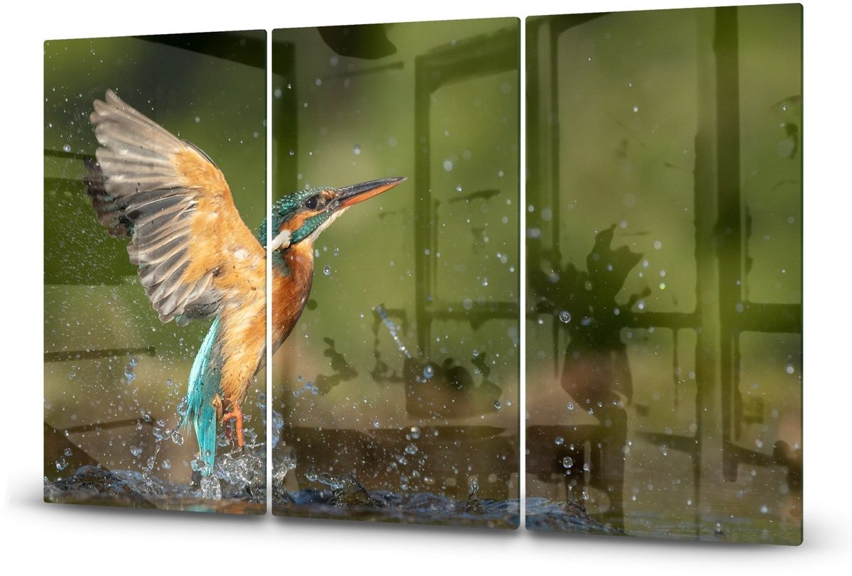Mydesignglas Glazen Inductie Beschermer - Krasvrij Gehard Glas met Antislip - Afdekplaat voor Kookplaat - Spatscherm Achterwand Keuken - Ijsvogel - 3x30x52