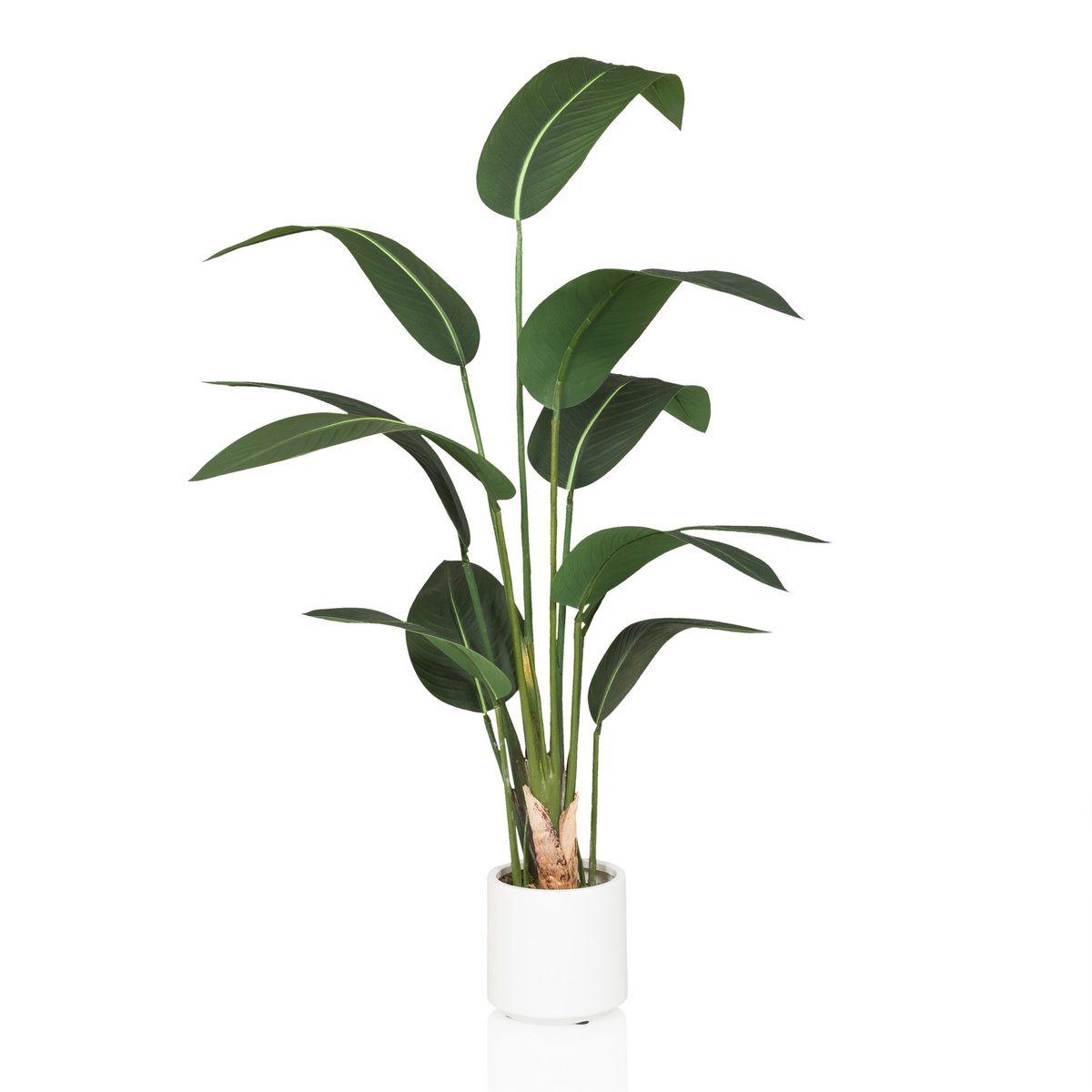 hjh office Kunstplant STRELITZIA Groen hjh OFFICE
