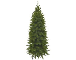 Triumph Tree Bristlecone Fir Pilar - Smalle Kerstboom voor Kleine Ruimtes - Kerstversiering met Volle Uitstraling - Kunstboom met 752 Dennentakken - H230 x Ø94 cm - Groen