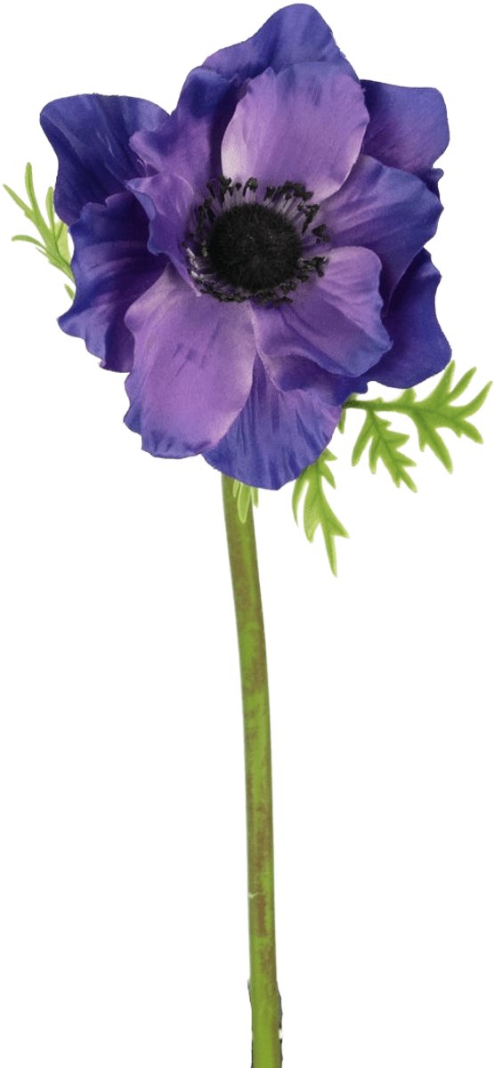 Easyplants | Kunstbloem Anemone 43 cm paars | Zijde | Nepbloemen | paars | Onderhoudsvrij | Kant-en-klaar