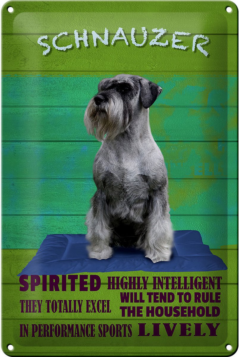 Blechschild Spruch 20x30cm Schnauzer Hund highly inelligent