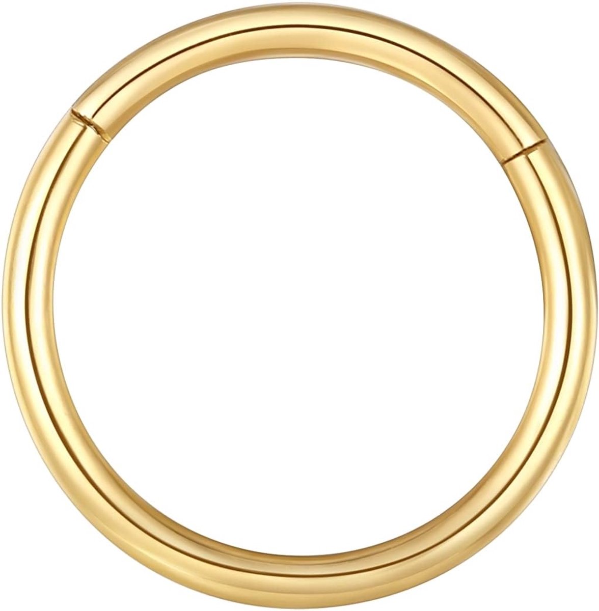 316L, chirurgisch staal, kraakbeen oorbel septum clicker ring, 0,8 mm 1,0 mm 1,2 mm 1,6 mm 2,0 mm, roestvrij staal, inklapbare segmentring, lippenring, oorlelring, conch daith helix rook tragus snug ear, bodypiercing, sieraden, Roestvrij staal
