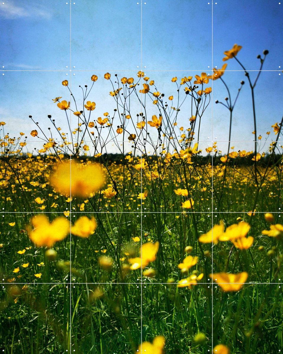 IXXI Optimist, Angelo Cerantola - 80 x 100 cm - Gratis ophangtool - Grote wanddecoratie en posters - Fotografie, Slaapkamer, Woonkamer, Gang, Bloemen