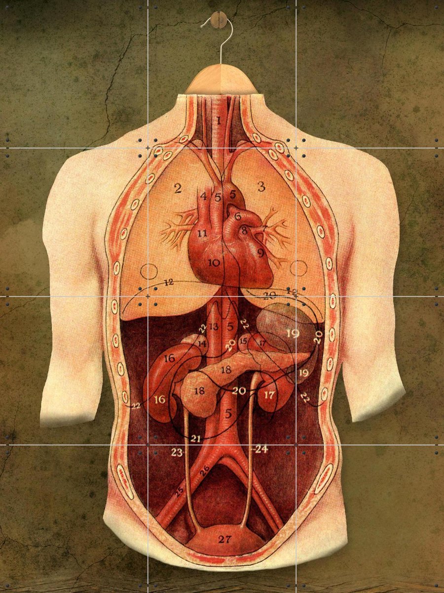 IXXI The Anatomy Lesson, Marja van den Hurk - 60 x 80 cm - Gratis ophangtool - Grote wanddecoratie en posters - Vintage, Studeerkamer, Mancave