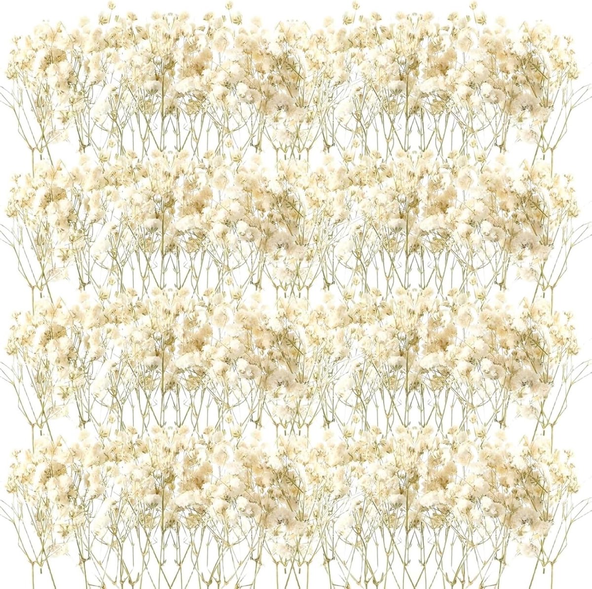 SnelShoppen - Miniaturen Gedroogde Bloemen - 50 Stuks Witte Baby Sterrenbloemen voor DIY Kaarsen, Hars Sieraden, Nagelkunst en Creatieve Projecten