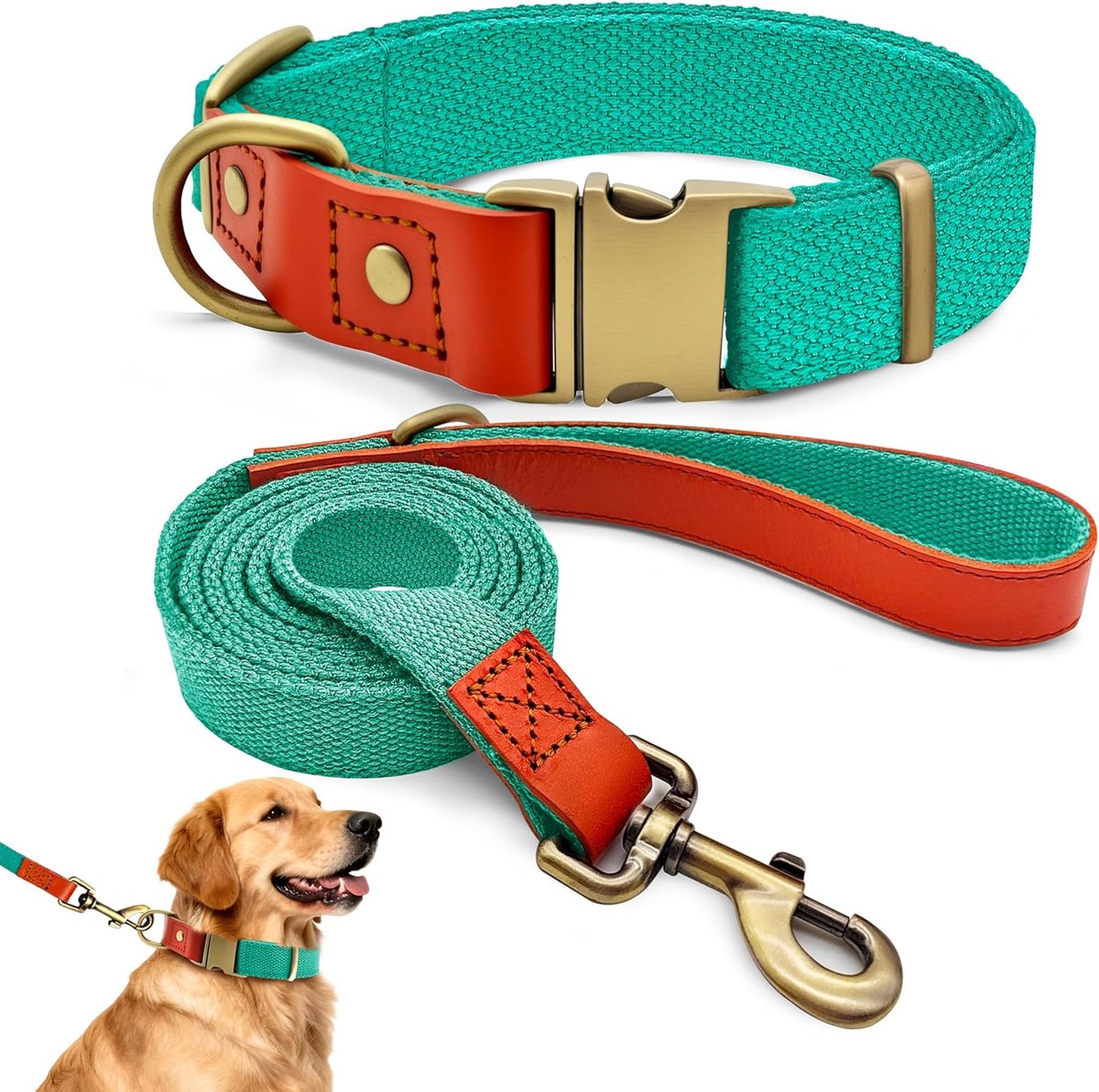 SnelShoppen - Dog Collar and Leash Set voor Honden, Verstelbare Halsband en Leiding, Geschikt voor Kleine, Medium en Grote Honden, Cyan, XL, Robuust e