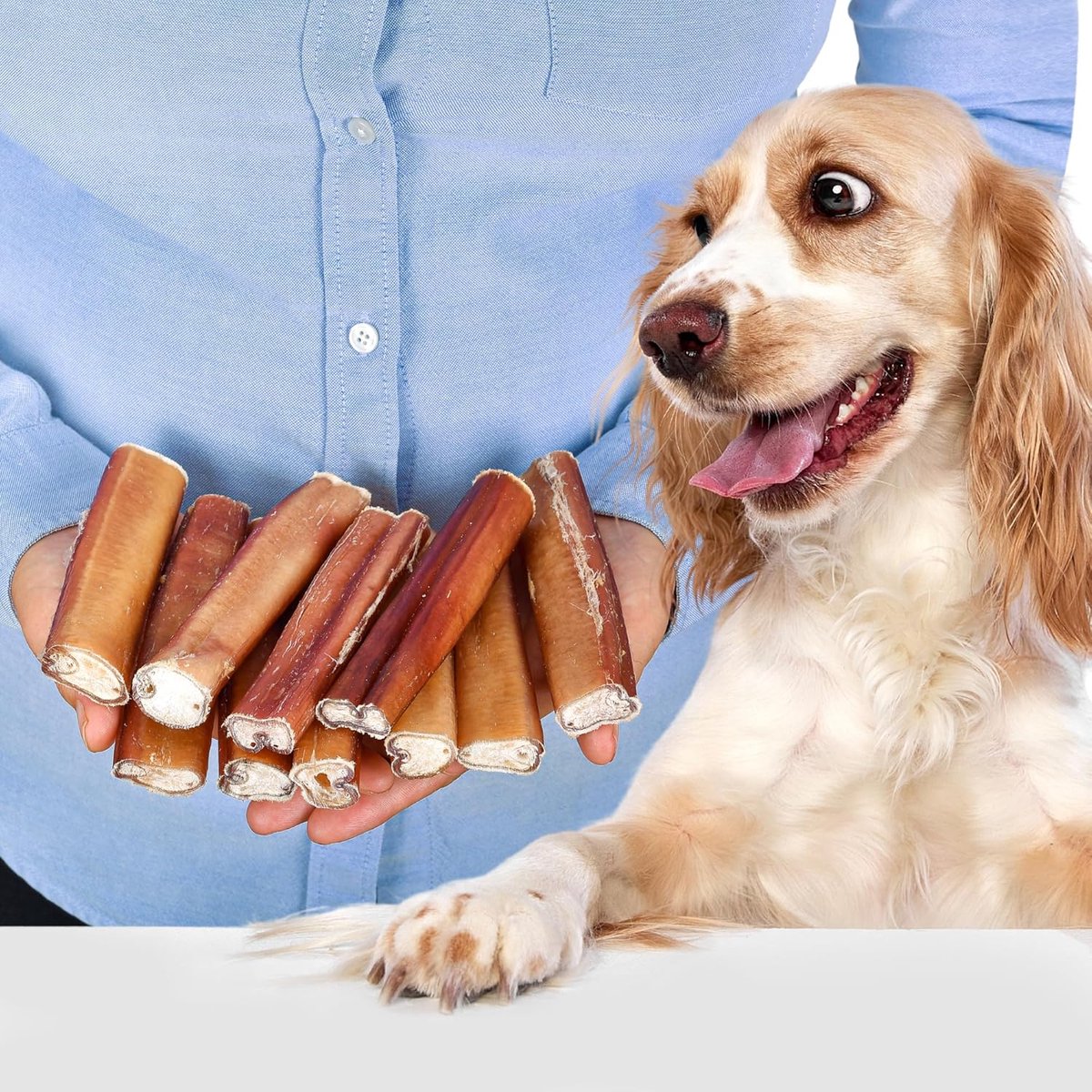 SnelShoppen - Ossenziemer voor Honden (10 Stuks) | Kauw Bot voor Grote Honden en Puppies | Natuurlijke Hondensnacks voor Tandverzorging en Gezondheid