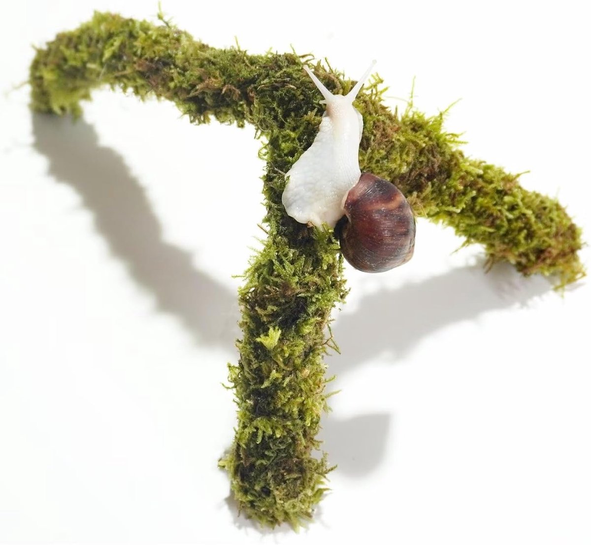 Speelgoed, ideale slakken terrarium accessoires, perfect voor huisdier slakken die graag klimmen