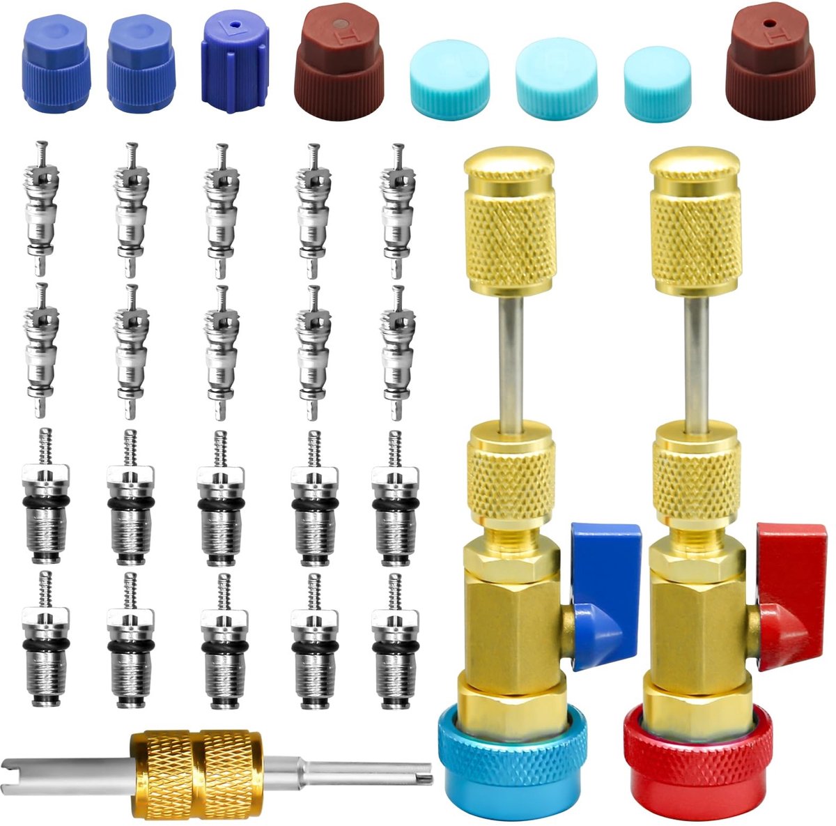 Omgoods - 31Pcs R134A Valve Core Verwijder Tool Kit met AC Service Port Cap