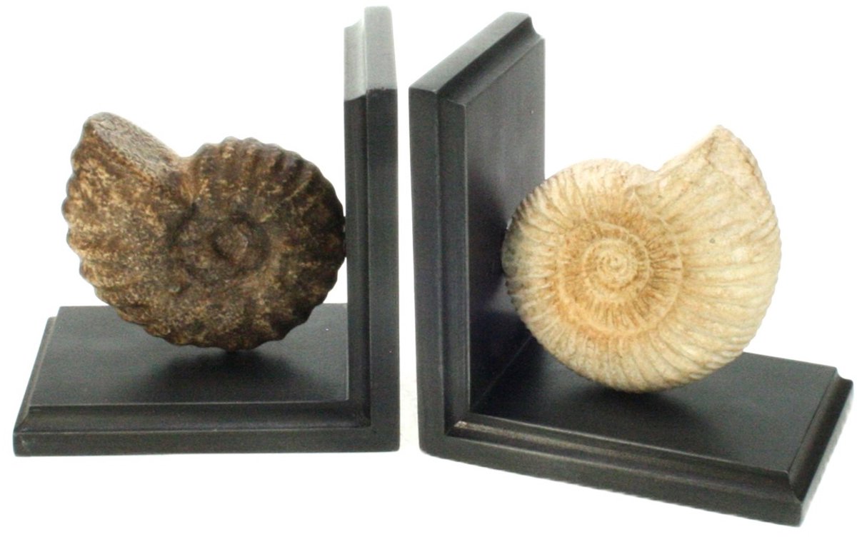 Boekensteun set Schelp 28x9x14cm
