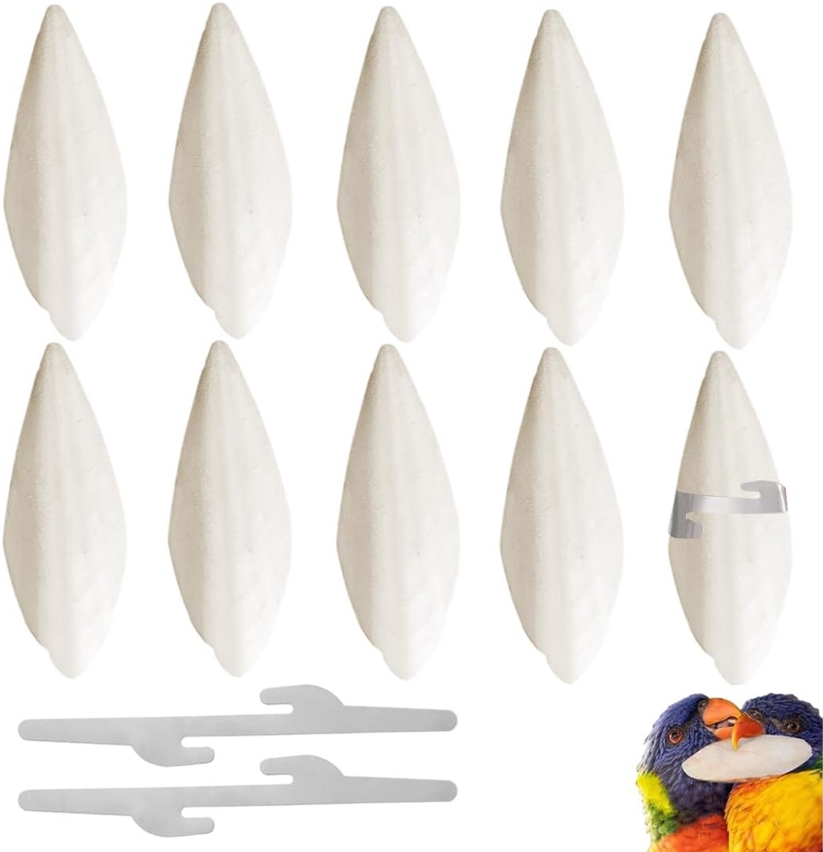 10 stuks sepia-schalen voor vogels en schildpadden 8-10 cm sepia-schalen slakken vogels parkieten voor schildpadden accessoires reptielen huisdieren calcium- en mineralenvoorziening