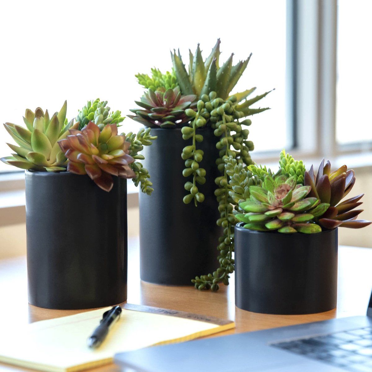 Omgoods - Set van 3 Kunstmatige Succulenten in Keramische Potten