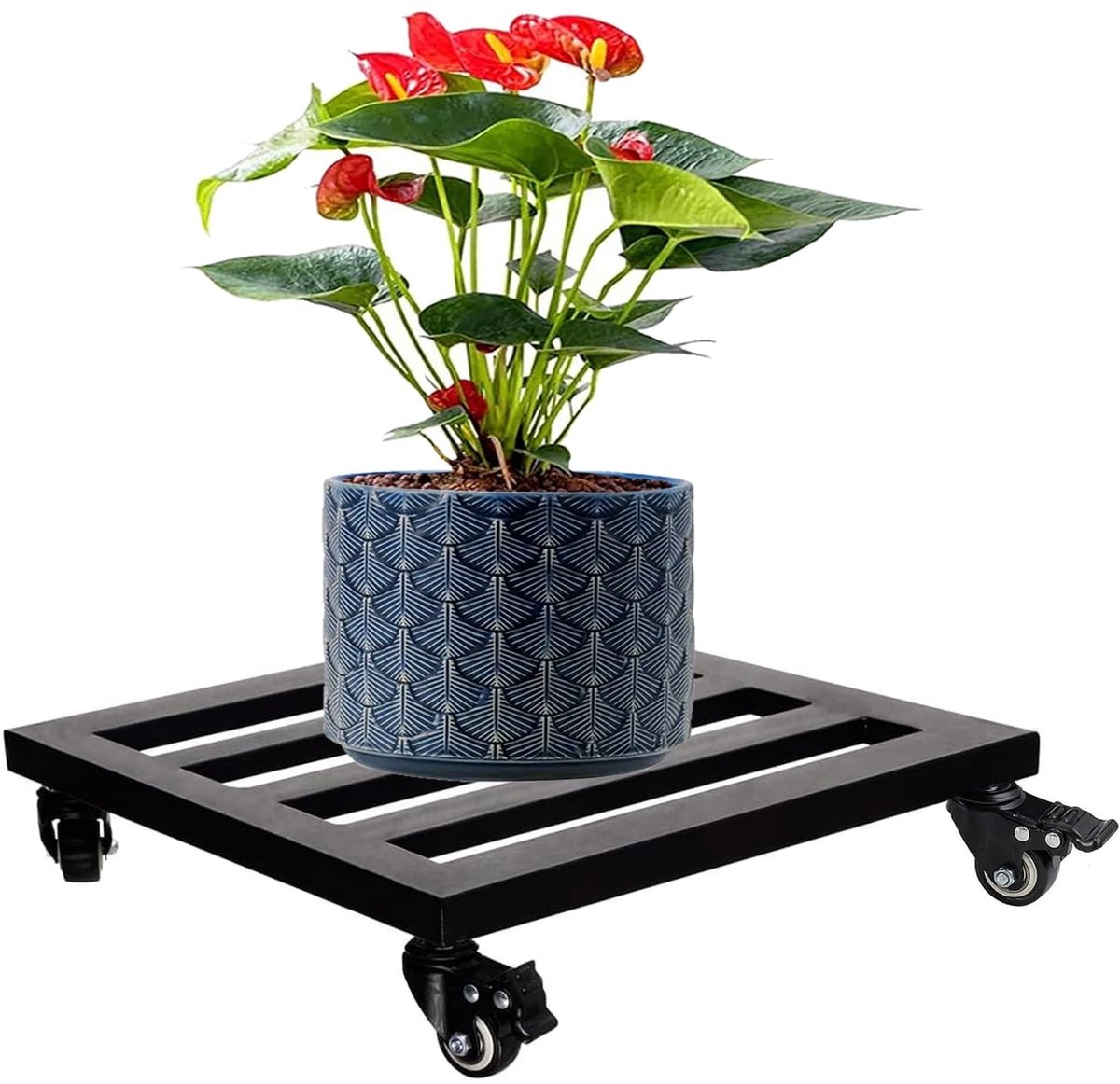 Omgoods - Plant Roller met Wielen - 30 cm Zwart Staal
