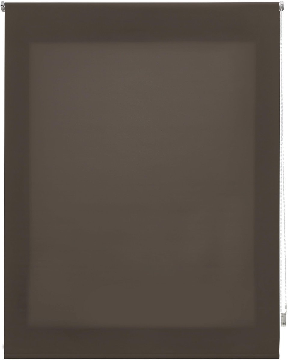 Omgoods - Premium Roller Blind Transparant - Taupe 160 x 250 cm