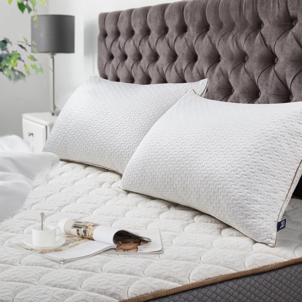 Omgoods - Bamboevezel Kussens 50 x 70 cm, 2 stuks, Anti-Allergeen