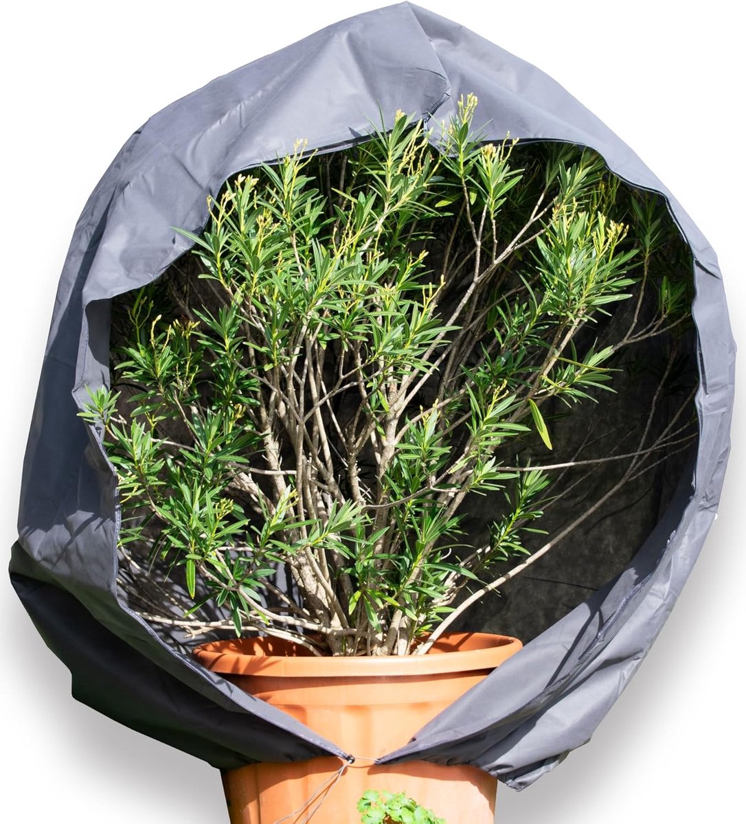 Winterbescherming voor planten XXL - Grijze hoes - Duurzaam materiaal - Effectieve bescherming tegen kou - SnelShoppen