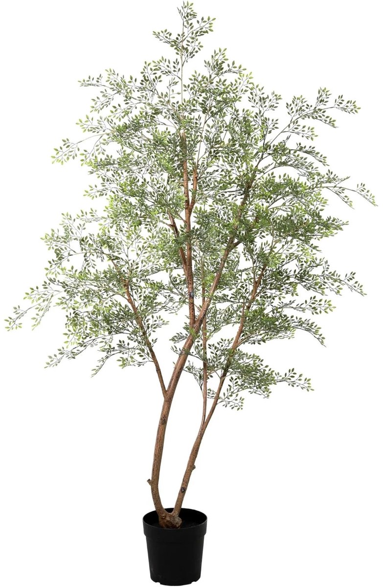 Trendyplants - Kunst Cassia boom - Cassiaboom - Kunstplant - Hoogte 180cm - Potmaat Ø23cm