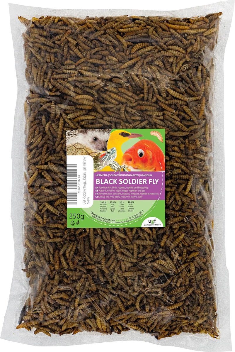 SnelShoppen - Hermetia Soldaatvlieg Larven - Drogen Insect Snack voor Vogels, Schildpadden, Ratjes, Egels, Hamsters - 250 g, 85x Meer Calcium dan Gedr