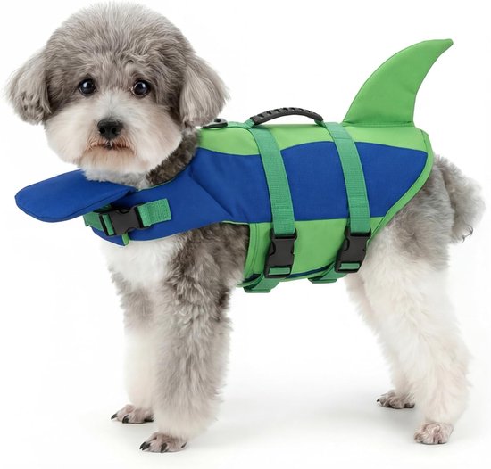 Un petit chien gris au pelage duveteux porte un gilet de sauvetage vert et bleu avec une nageoire de requin.