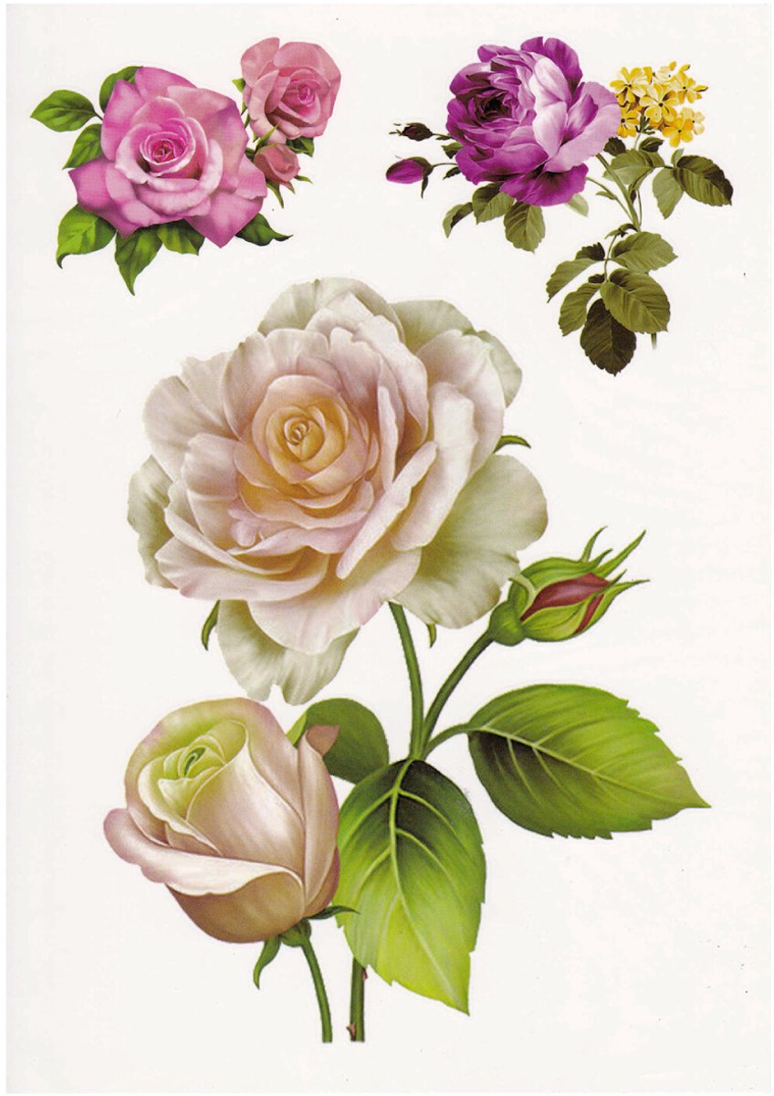Temporary Tattoo Rozen Bloemen Flowers (A5 formaat) [Neptattoo - Tijdelijke tatoeage - Nep Fake Tattoos - Water overdraagbare festival sticker henna outfit tattoo - Glitter tattoo - Volwassenen Kinderen Jongen Meisje]