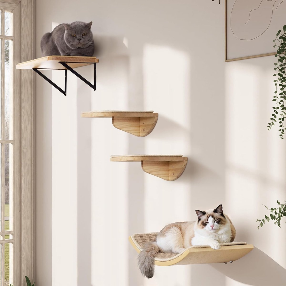 wandset, kattenklimwand met 2 treden, vierkante en gebogen platforms, wandgemonteerde houten kattenwandmeubelset voor klimmen, spelen, slapen