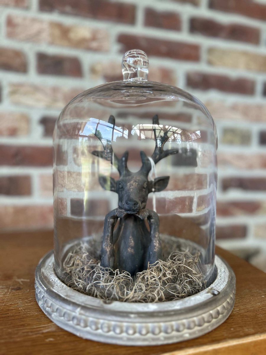 Creaties van hier – met houten hartje - Glazen stolp met stenen Hertje en Tillandsia - 26x23cm