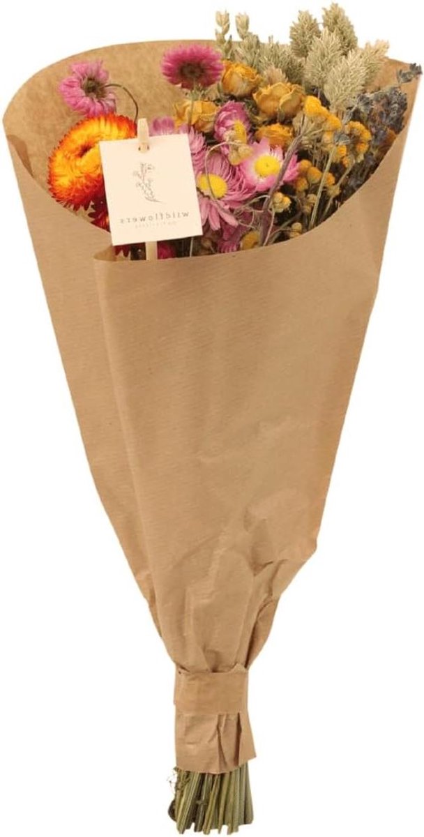 Droogbloemen Boeket - Gedroogde bloemen - Decoratie Huis - Natuurlijke Stijl - Middelgroot - Multicolor